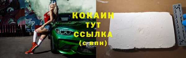 apvp Иннополис