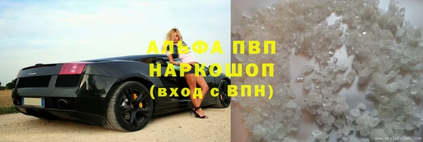 PSILOCYBIN Инсар