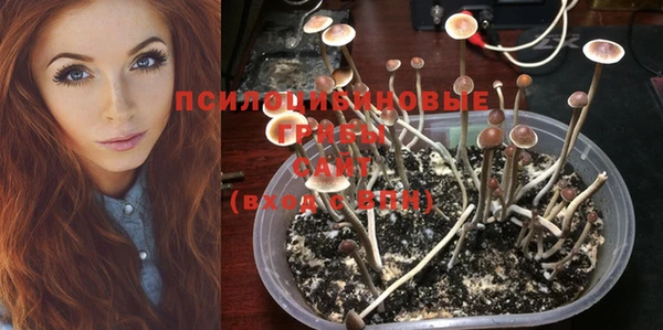 прущая мука Аксай