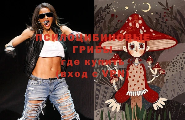 прущие крисы Каменногорск
