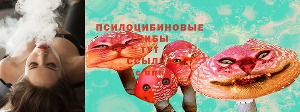 PSILOCYBIN Инсар