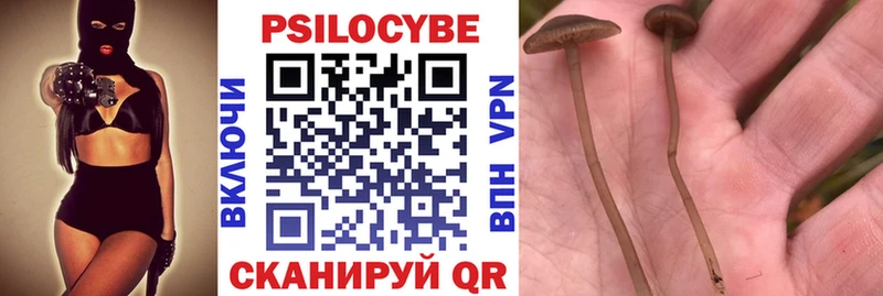 Псилоцибиновые грибы Psilocybine cubensis  хочу наркоту  Лесозаводск 