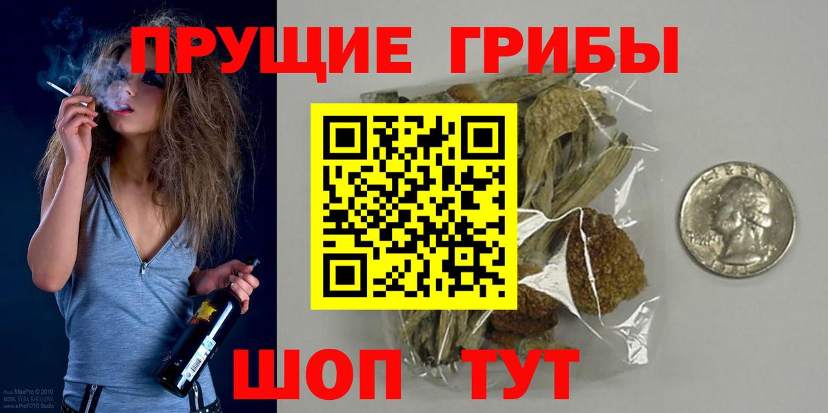 Псилоцибиновые грибы Psilocybe Лесозаводск